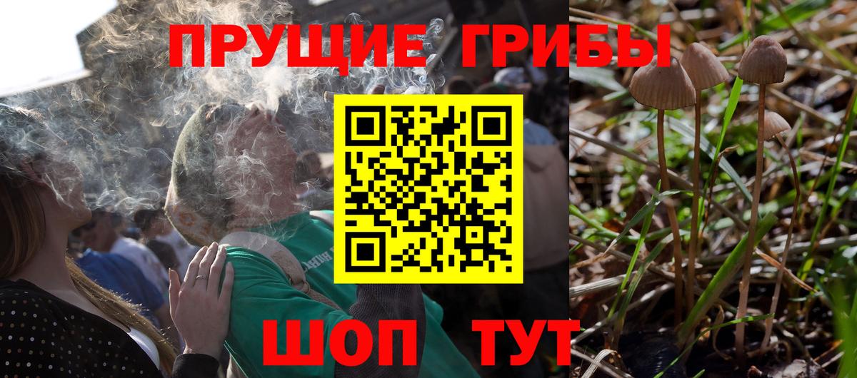 Псилоцибиновые грибы Magic Shrooms  Вход с VPN  Кинель 